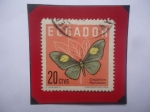 Stamps Ecuador -  Mariposa Cola de Golondrina (Graphium pausianas)- Maripoas 1961- Sello de 20 Ctvs. año 1961.