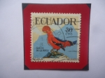Stamps Ecuador -  Gallo de la Roca (Rupicola peruvianus)- Serie Pájaros tropicales- Sello de 30 Ctvs. Año 1958