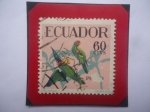 Stamps Ecuador -  Perico- Periquitos de Frente Escarlata (Psittacara nagleri)- Serie:Aves Tripicales- Sello 60 Ct. año