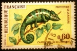 Stamps France -  Protección de la naturaleza. Camaleón Isla de la Reunión. 