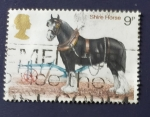 Stamps United Kingdom -  868 Razas de caballos