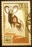 Stamps France -  Fondo mundial por la naturaleza Muflón mediterráneo (Ovis orientalis musimon) 