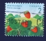 Stamps : America : Canada :  Fresas