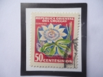 Sellos de America - Uruguay -  Pasionaria- (Mburucuya)- Flor de la Pasión (Passiflora coerulea)