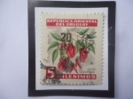 Stamps Uruguay -  Ceibo - Flor Nacional- Sello Sobrestampado con 20 sobre 5 Céntimos, Año 1959.