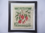 Sellos de America - Uruguay -  Ceibo - Flor Nacional - Sello de 20 Céntimos, año 1954.