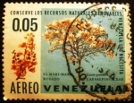 Stamps Venezuela -  Conservación de la naturaleza. Árboles (Cassia grandis)