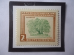 Stamps Uruguay -  El Ombú (Phytolacca dioica) - Árbol de Ombú.