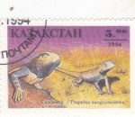 Stamps : Asia : Kazakhstan :  REPTILES- Trapelus sanguinolenta