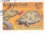 Stamps Asia - Kazakhstan -  TORTUGAS