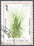 Sellos de Africa - Santo Tom� y Principe -  Plantas medicinales 2007, Limoncillo (Cymbopogon citratus)