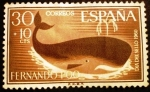 Sellos de Europa - Espa�a -  Fernando Poo. Día del sello. Cachalote