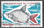 Stamps : Africa : Chad :  Peces nativos de agua dulce, Moonfish (Citharinus latus)