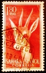 Stamps : Europe : Spain :  Sahara español. Fauna indígena. Gacela