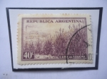 Stamps Argentina -  Caña de Azúcar-Plantación-Ingenio azucarero-Serie:Pruductos del País-Sello de 40 ct.Año 1949.