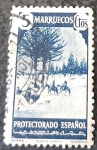Stamps Spain -  marruecos español. Tipos diversos. Bosque de Ketama