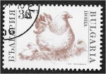 Stamps Bulgaria -  Animales domesticados, gallinas, polluelos (Gallus gallus domesticus)