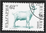 Sellos de Europa - Bulgaria -  Animales domesticados, cabra (Capra hircus)