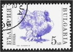 Stamps Bulgaria -  Animales domesticados, pavo domesticado (Meleagris gallopavo)