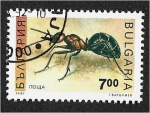 Stamps Bulgaria -  Insectos, Hormiga de madera roja (Formica rufa)