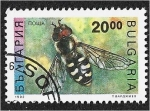 Stamps Bulgaria -  Insectos, Pied Hoverfly (Scaeva pyrastri)