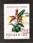 Stamps Poland -  CAMBIADO CR