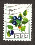 Stamps Poland -  INTERCAMBIO