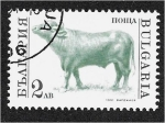 Stamps Bulgaria -  Animales domesticados, Toro (Bos primigenius taurus)