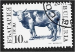 Stamps Bulgaria -  Animales domesticados, vaca doméstica (Bos primigenius taurus)