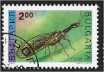 Sellos de Europa - Bulgaria -  Insectos, Mosca serpiente (Raphidia notata)