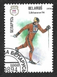 Stamps : Europe : Belarus :  82 - JJOO de Invierno (Lillehammer)