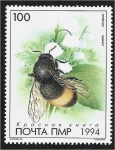 Stamps : Europe : Moldova :  República de Transnistria. Libro rojo de PMR: fauna, abejorro