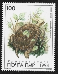 Stamps : Europe : Moldova :  República de Transnistria.  Libro Rojo de PMR: Fauna, Tortuga de estanque europea (Emys orbicularis)