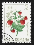 Sellos de Europa - Rumania -  Frutos del bosque, fresa del bosque (Fragaria vesca) y mariposa