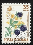 Sellos de Europa - Rumania -  Frutas del bosque, zarzamora europea (Rubus caesius) y mariposa