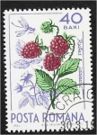 Sellos de Europa - Rumania -  Frutas del bosque, frambuesa (Rubus idaeus) y mosquito