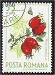 Stamps Romania -  Frutas del bosque, rosa de perro (Rosa canina) y mariposa