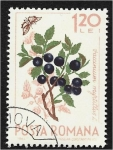 Sellos de Europa - Rumania -  Frutas del bosque, arándano (Vaccinium myrtillus) y mariposa