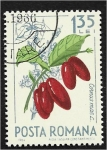 Stamps Romania -  European Cornel (Cornus mas) & spider