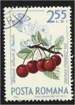 Sellos de Europa - Rumania -  Frutas del bosque, cereza ácida (Prunus cerasus) y mariposa