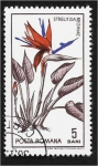Stamps Romania -  Jardín Botánico Cluj, Flor ave del paraíso (Strelitzia reginae)