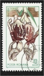 Stamps Romania -  Jardín Botánico Cluj, Stanhopea tigrina