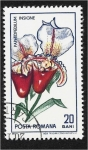 Sellos de Europa - Rumania -  Paphiopedilum insigne