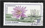 Stamps Romania -  Jardín Botánico Cluj, nenúfar azul del Cabo (Nymphaea capensis)
