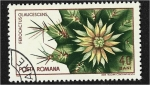 Stamps Romania -  Jardín Botánico Cluj, Ferocactus (Ferocactus glaucescens)