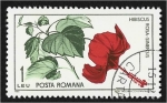 Stamps Romania -  Jardín Botánico Cluj, hibisco chino Hibiscus rosa-sinensis)