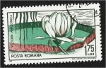 Sellos de Europa - Rumania -  Jardín Botánico Cluj, Nenúfar gigante (Victoria amazonica)
