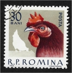 Sellos de Europa - Rumania -  Aves de Corral Domésticas, Gallo (Gallus gallus domesticus)