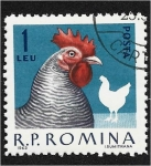 Stamps Romania -  Aves de corral domésticas, gallo (Gallus gallus domesticus)