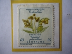 Stamps Colombia -  Frailejón- Espeletia Grandiflora- Sello de 10 Ctvs. Año1962.